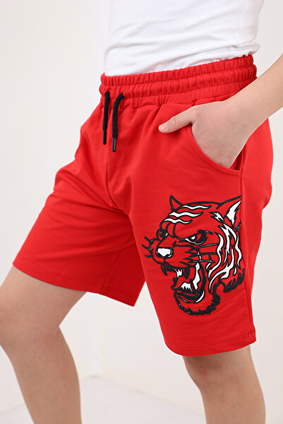 Toontoy Printed Shorts for Boys