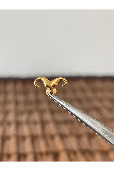 Rupen Kraft 316 L Surgical Steel Mustache Model Lip Cartilage Helix Tragus Piercing