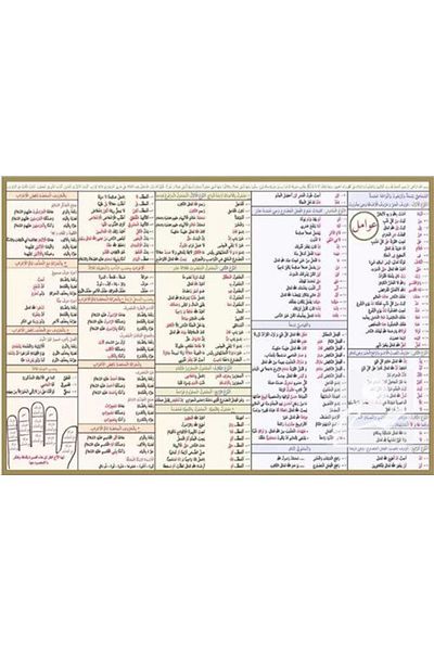 Kitap Kalbi Yayıncılık Schema arabească Avamil (TABLO POSTER)