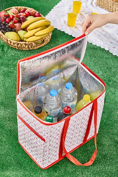Serstil Large Size Thermal Picnic Bag |   Thermal Insulated Cooler Organizer Shopping Bag - 35X20X33 cm