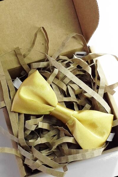 GallanD Plain Patterned Children's Bow Tie Set of 2 Birthday Wedding Special Day Practical Elastic Single Bow Tie