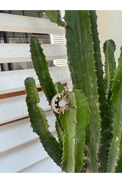 shesra Gold Renkli Ay Güneş Kolye Ucu