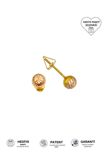 Altınkesesi 14 Ayar Altın Unisex Kalemli Top Küpe 5 Mm