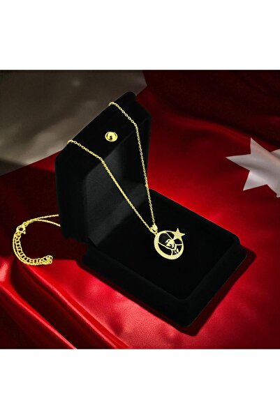 SOFT ATATÜRK 925 AYAR GÜMÜŞ 18 K ALTIN KAPLAMA SİYAH MİNE VE ZİRKON TAŞLI KADİFE KUTULU