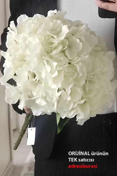 Genel Markalar Adresiyapayçiçek Yapay Çiçek 5 Dal Lux Ortanca Demeti Ekru – Y...