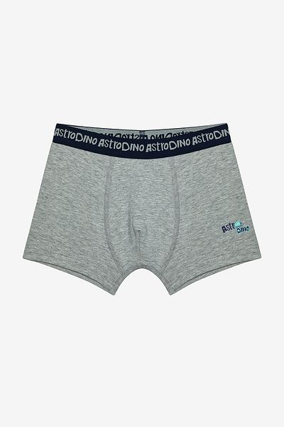 Penti Boy's Astro Dino Multicolor 2-Piece Boxers