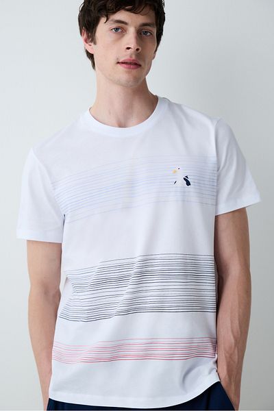 Penti Σετ πιτζάμες Seagull Shorts Πολύχρωμη με τσέπες