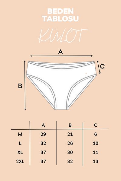 BUTİK1AVM Women's Bamboo Panties Large Size High Waist 100% Bamboo Ultra Stretchy Soft Textured 4 Units
