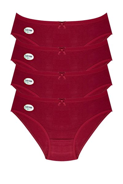 BUTİK1AVM Women's Bamboo Panties Large Size High Waist 100% Bamboo Ultra Stretchy Soft Textured 4 Units