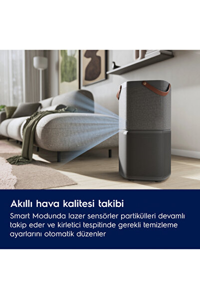 Electrolux EPO60571DG Pure 600 Hava Temizleme Cihazı