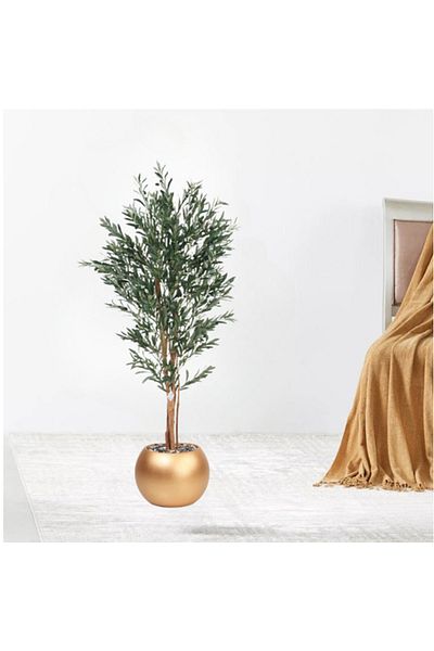 DEC31 Olive tree in a plastic pot, gold color