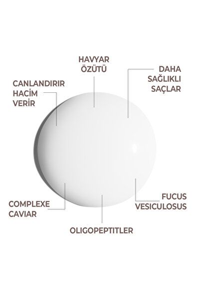 Dikson Havyar Yoğun Canlandırıcı Şampuan 1000 Ml