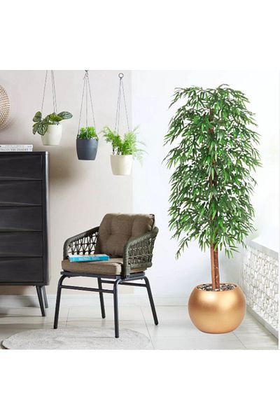 DEC31 Bamboo tree golden plastic basin