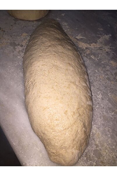 Trabzonvakfıkebirunlumamüller Değirmenden Organik Atalık Siyez Ekşi Hamur Mayası 100gr (15YILLIK)