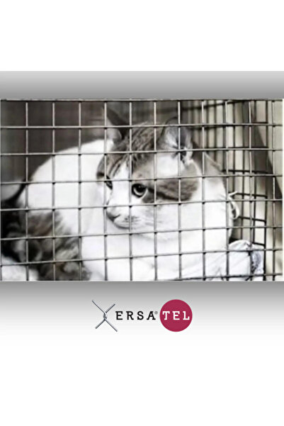 ERSA DEMİR ÇELİK Ersatel Hasır Tel 3,00 Mm X 3*3 Cm X 100x200 Cm - Kaynaklı -...