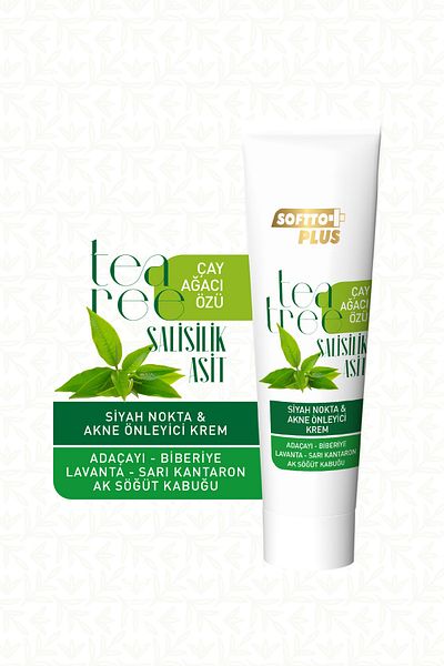Softto Plus Pack of 2 Tea Tree Extract Acne Cream