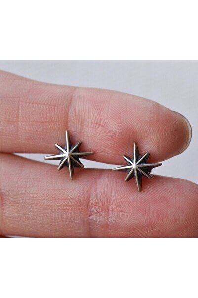 AKCA TAKI GÜMÜŞ KUTUP YILDIZI KÜPE