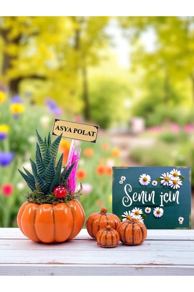 MEGA KANYON Kişiye Özel Isimli Sukulent Çiçekli Bal Kabağı Seti | Sevgiliye H...