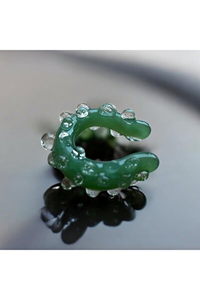 Home Cam Kılırdak Küpe