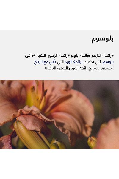 SHIFT Shift Filter - Blossom Family Shower Water Fragrance, Hair & Skin Protection for the Whole Family, Suitable for Regular Showers