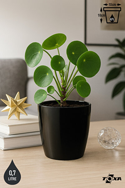 ToXA 0.68 Litre 10cm Parlak Siyah Tabaksız Drenaj Izgaralı Plastik Yakut Saksı No1