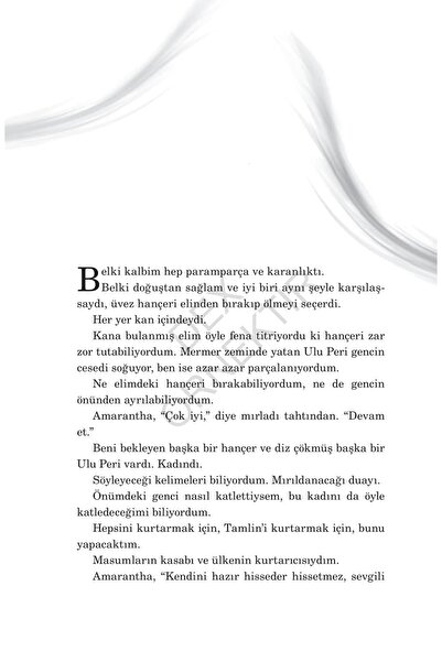 Dex Yayınevi Dikenler Ve Güller Sarayı 2: Sis Ve Öfke Sarayı