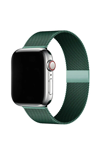 Apple Watch 3 4 5 6 7 8 9 10 Se İçin 38 40 41 mm Paslanmaz Metal Hasır Örgü Kordon