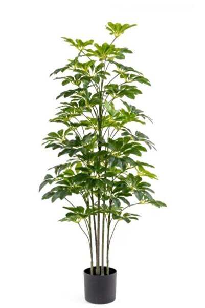 Çinpa Sheflera Real Touch 125 Cm 0103627