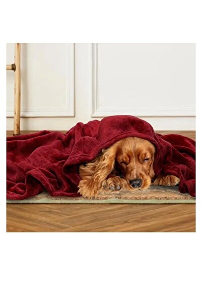 smart home Luxury All Season Blanket 230 x 220 cm - Soft and Lightweight Winter Blanket 2.3 kg for Double Bed
