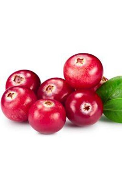 OTC ألتيميت وومن بروبيوتيك كرانبيرى 60 قرصًا