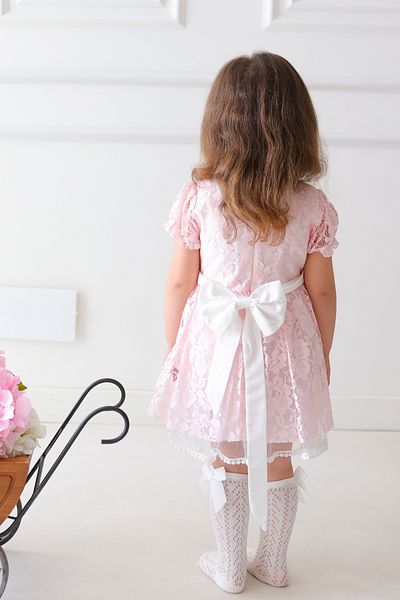 Baby Animals Baby Girl Dress Girl's Dress Birthday Party Wedding Dress Ruched Short Sleeve Lined Dress