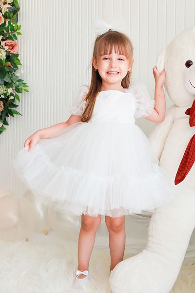 Baby Animals Baby Girl Dress Girl's Dress Birthday Party Wedding Dress Ruched Short Sleeve Lined Dress