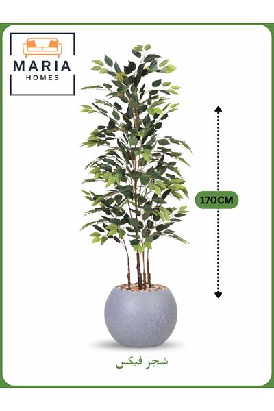 MARIA HOMES Artificial Ficus Tree 170 cm – Indoor Decorative Plant with Gray Pot