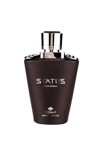 Tad Angel STATUS HOMME, men, 100 ml