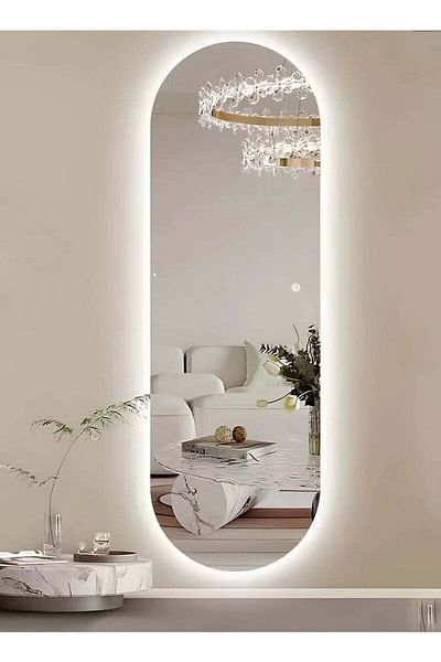 Taimi 120x60cm Oval Makeup Mirror with Side LED Light, Makeup Mirror Suitable for Dressing Room