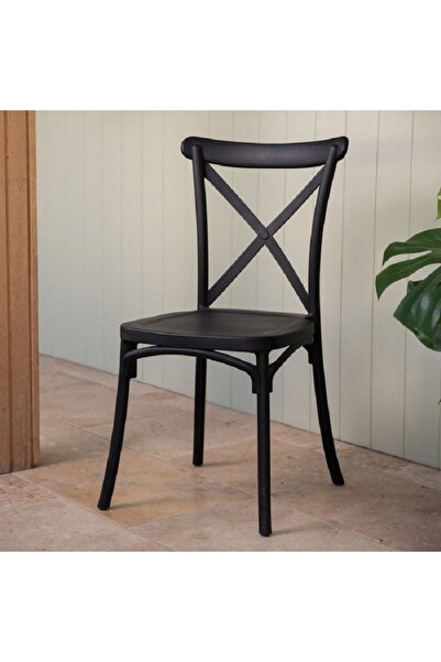 rexa كرسي طعام