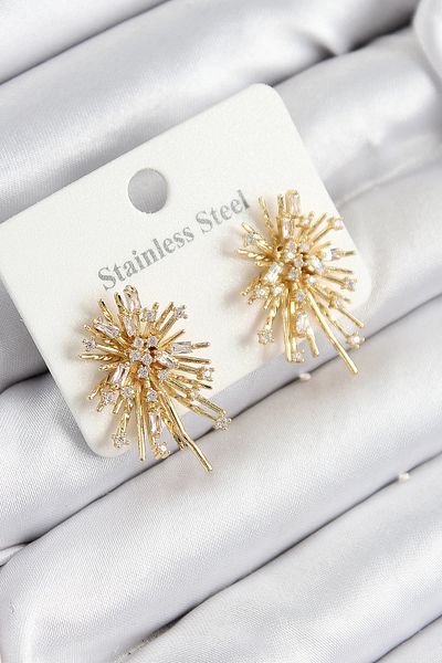 Store 316L Steel Zircon Stone Aurora Sparkle Model Gold Color Women's Earrings