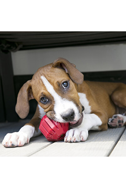 Kong Stuff-A-Ball Çok Amaçlı Köpek Oyuncağı Kırmız-S