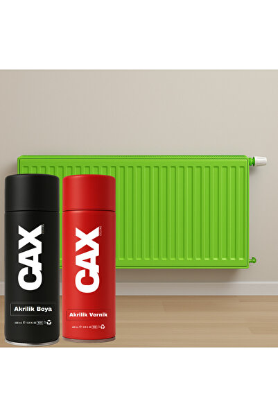 caxcolors ISIYA DAYANIKLI PETEK SPREY BOYA + BOYA KORUMA VE PARLAKLIK VERNİĞİ...