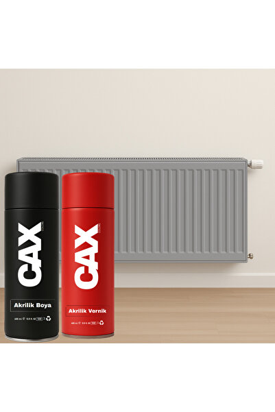 caxcolors ISIYA DAYANIKLI PETEK SPREY BOYA + BOYA KORUMA VE PARLAKLIK VERNİĞİ...