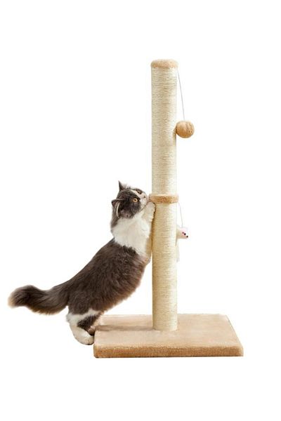 TRADE BAY Cat Scratching Post, (32 inches/80cm Tall, Beige)