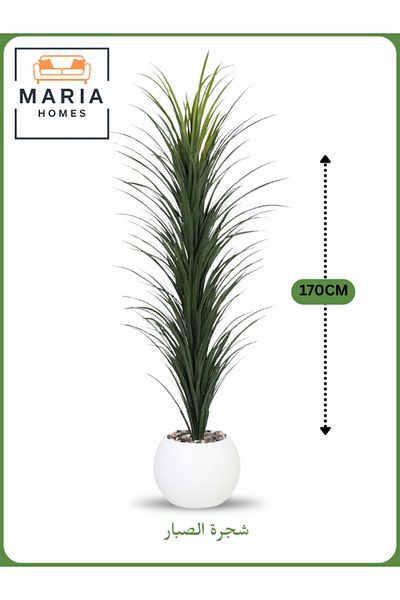 MARIA HOMES Artificial Cactus Tree 170 cm – Indoor Decorative Plant with white Pot