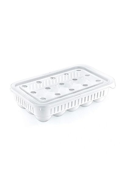 Beruflic 15 Egg Storage Container