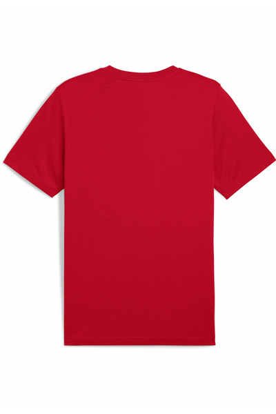 Puma Pánské tričko Essentials 2 Colour No. 1 Logo