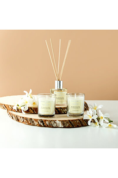 Element's Elements Mimosa and Cardamom Reed Diffuser and Jar Candle Gift Set
