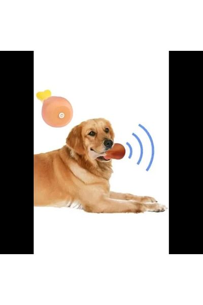 Beruflic Sound Toy Chicken Boote for Dogs