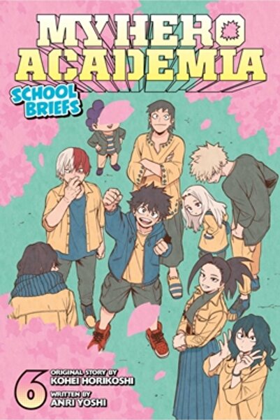 Viz LLC My Hero Academia: School Briefs, Vol. 6