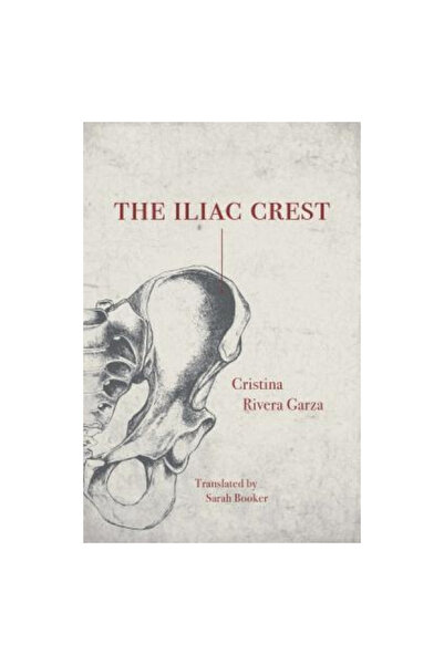 Feminist Pr The Iliac Crest