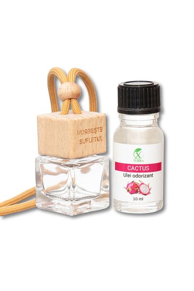 XTERRA CAR FRESHENER | DIFFUSER BOTTLE AND CACTUS FRAGRANCE OIL SET | 10 ml