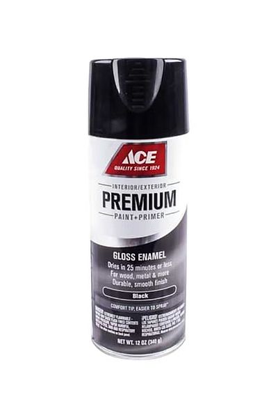 ACE Gloss Spray Paint Black